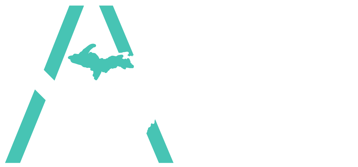 Michigan Adoptee Collaborative